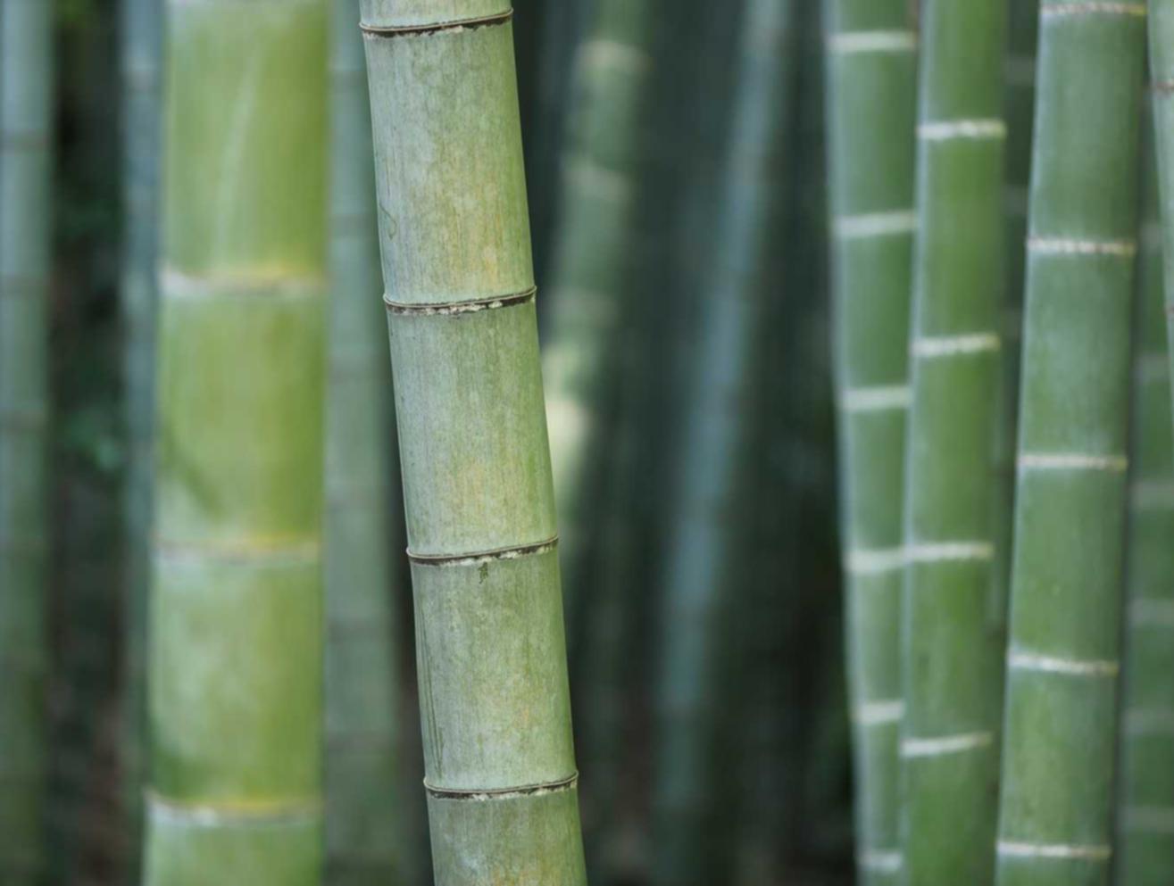 麒麟3娱乐,注册|格来云游戏app详情下载教程