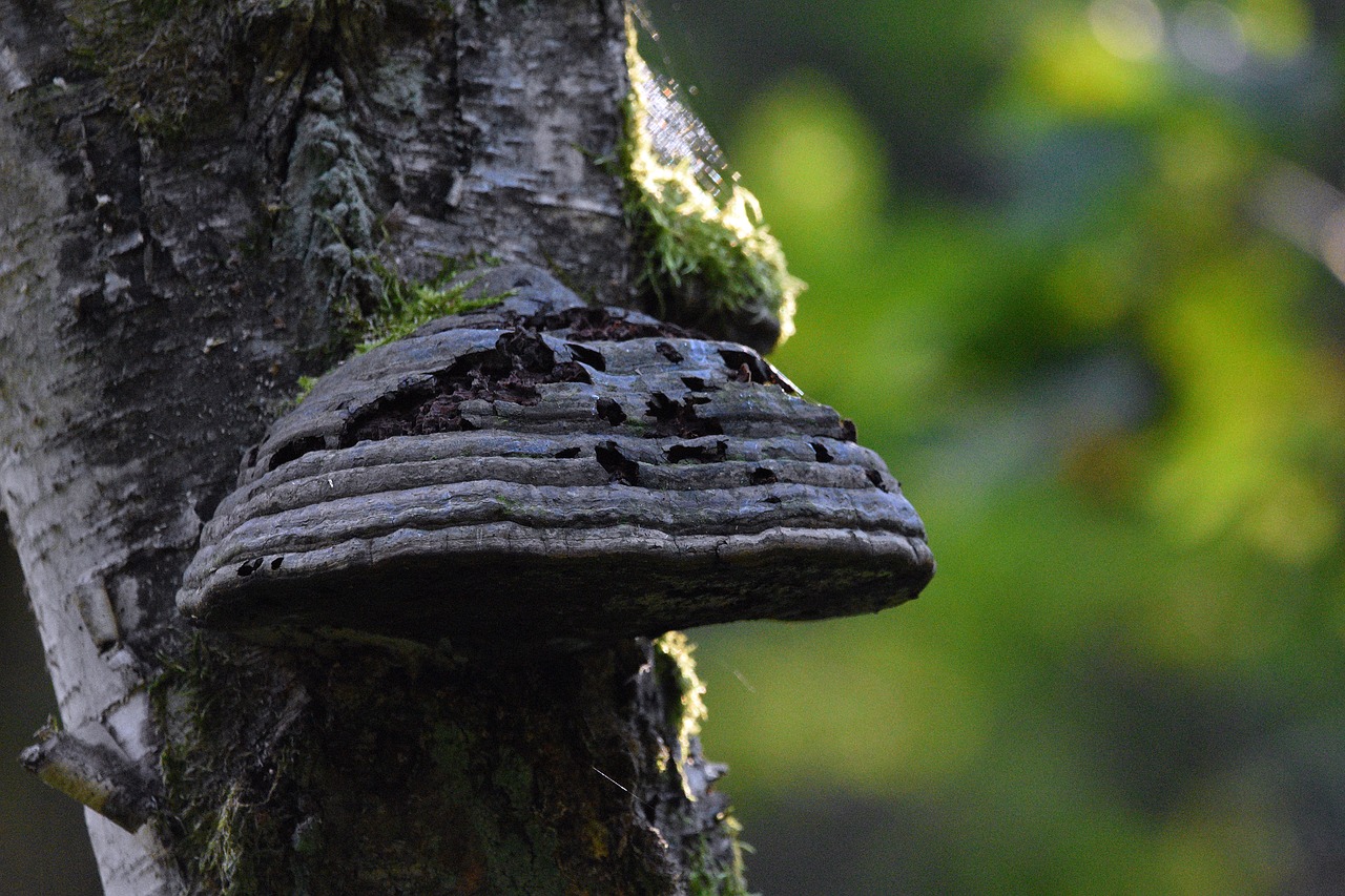 网站压力测试|青岛期货网上开户平台
