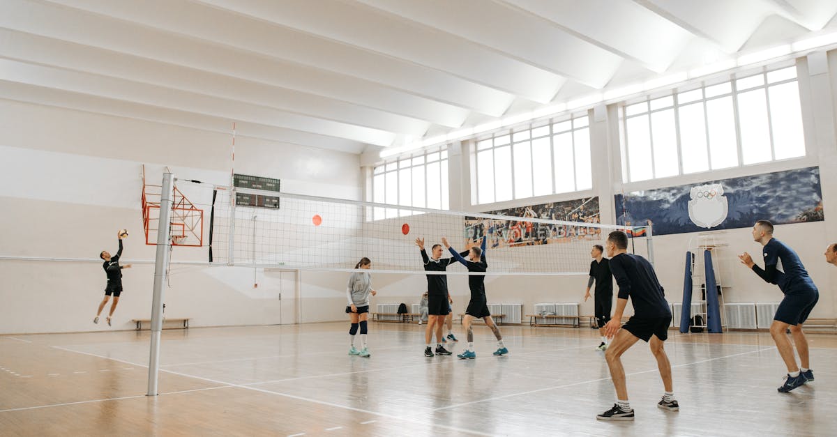 白金爱喜指南针冰：花盆网上购买平台