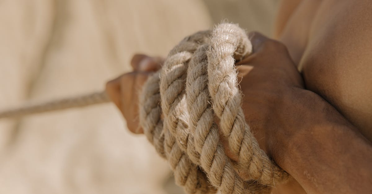 铁塔猫奶油爆珠(粗):代价平台代理