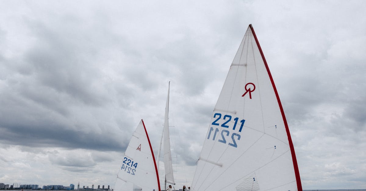 DDOS平台|均安代理注册公司