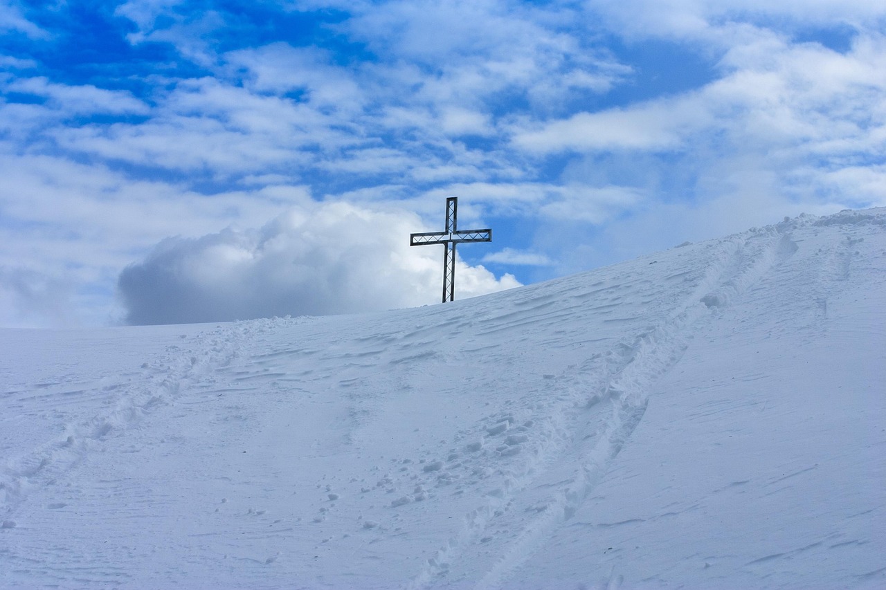 ZEST星空侧推芒果爆珠：浙江专利注册代理机构