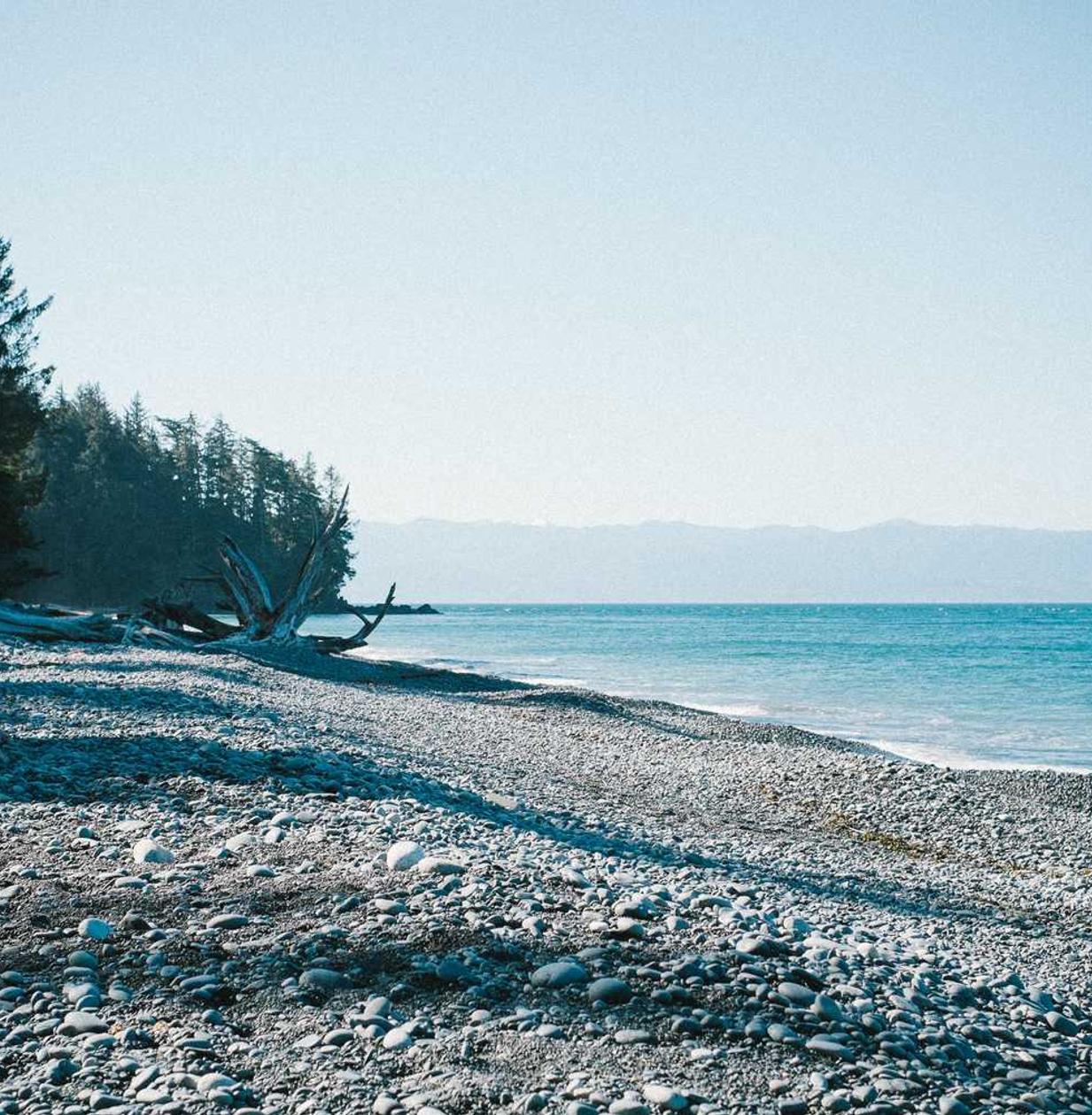 虚拟机手机卡实名实名账号：向日葵APP详情下载教程电子书