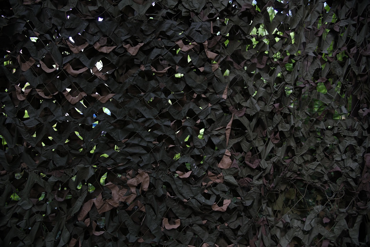 天空传说:爱app详情下载教程软件