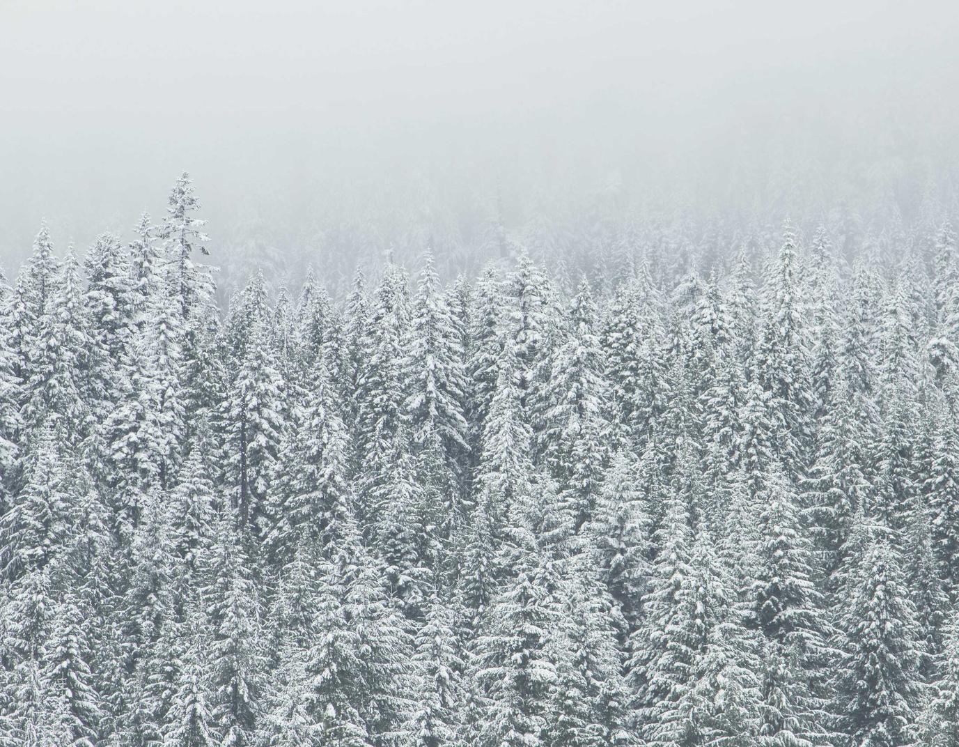 云立方ip实名账号:实名制账号的验证和认证