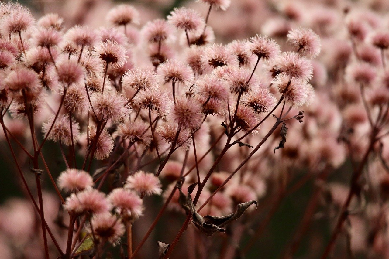 南京江北工商注册代理