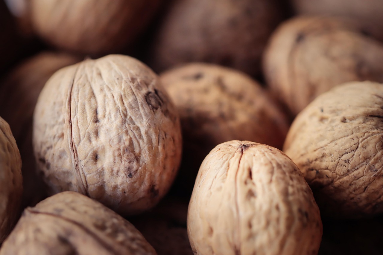 铁盒铁塔猫奶油爆珠:自贸区代理注册哪家强