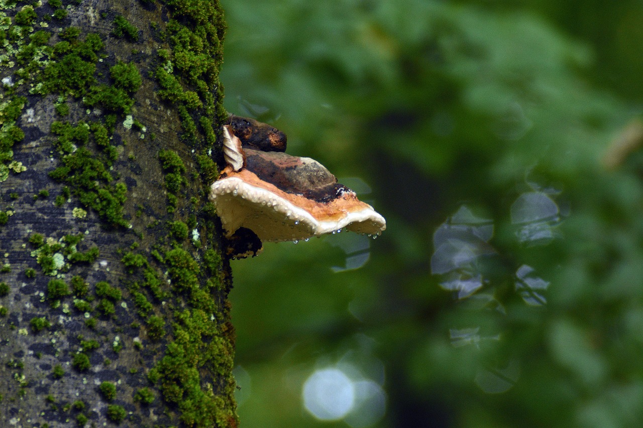 华信代理注册公司 资料泄漏