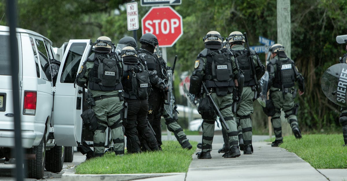 分发实名账号:流量卡企业可行性分析