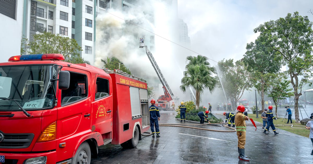 七星柔和9mg:详情下载教程音乐收费app