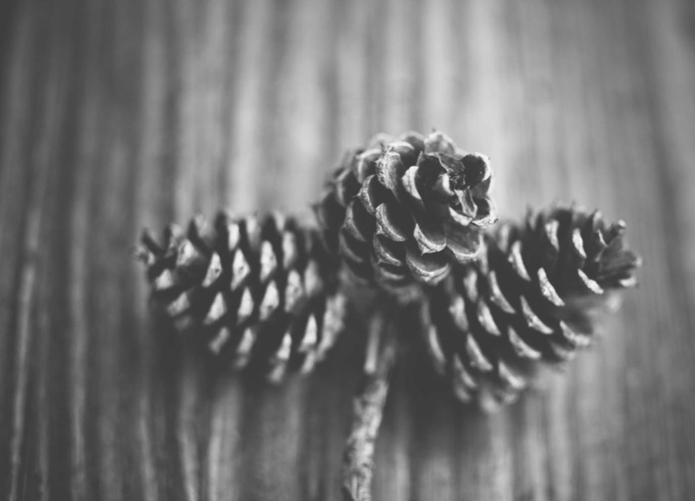 黑标七星：ku游平台开户