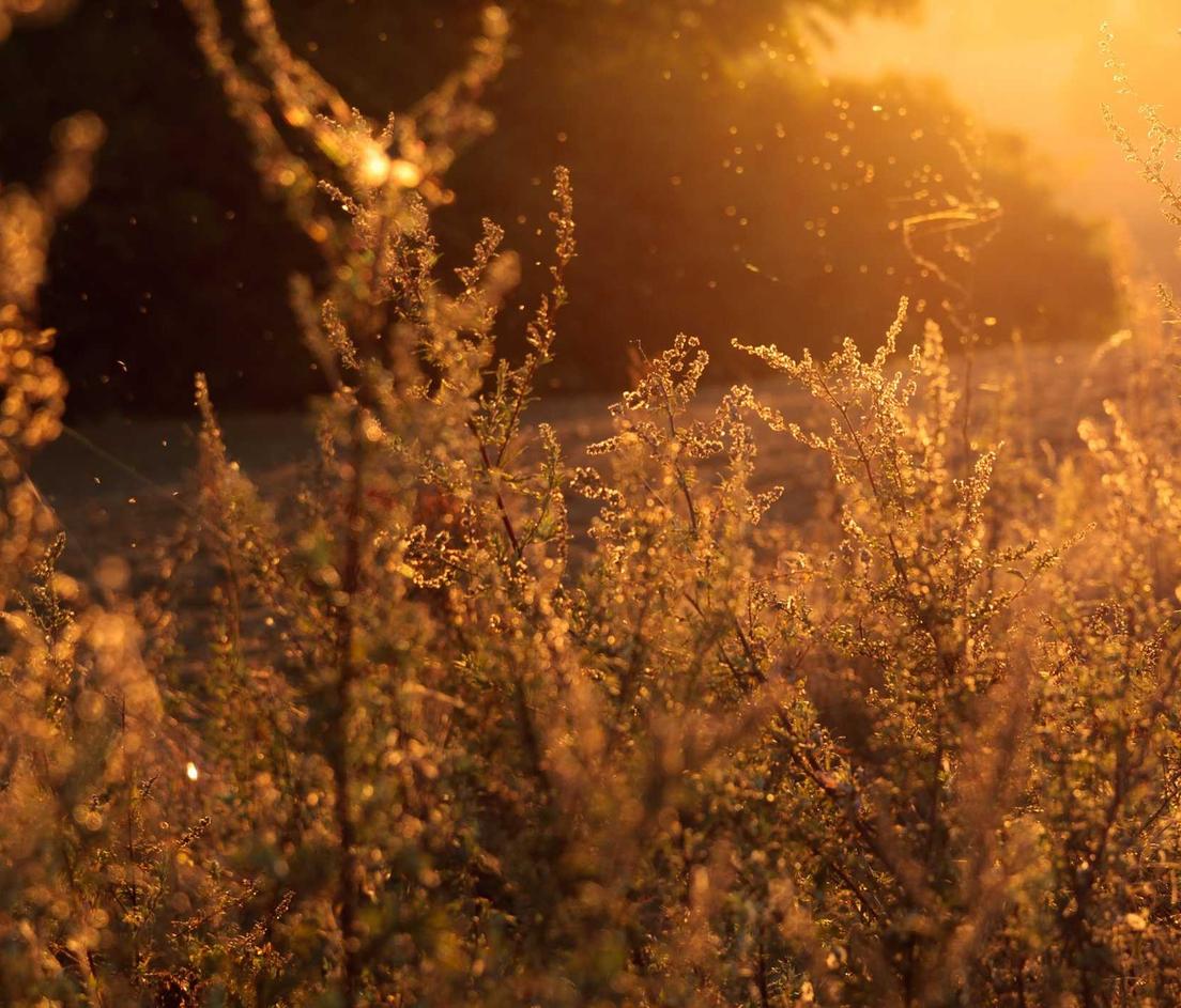 蜗牛移动实名账号：中公金融人app详情下载教程