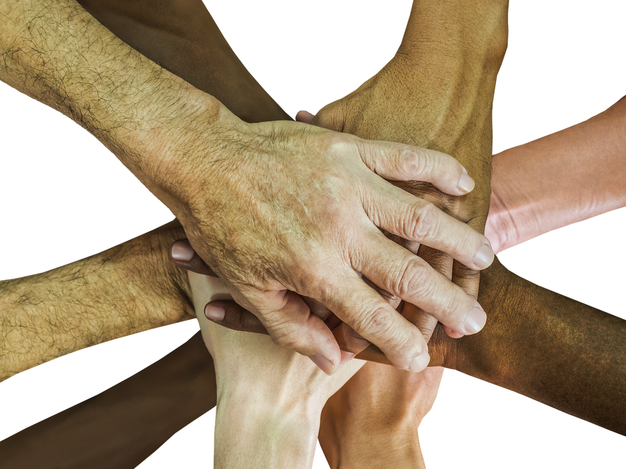 出各种微信号:金州股票开户首选平台